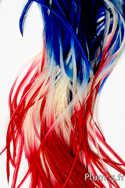 Coq rooster - 25-30 cm - bleu-blanc-rouge